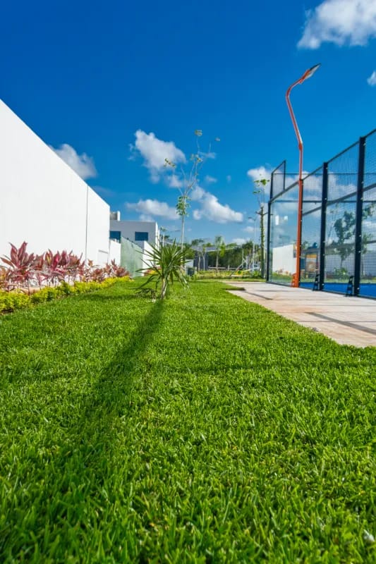 jardines de al lado de la pista de padel de la rioja 2