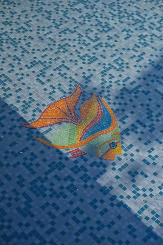 detalle en la alberca de pez
